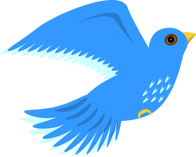 Flying blue bird