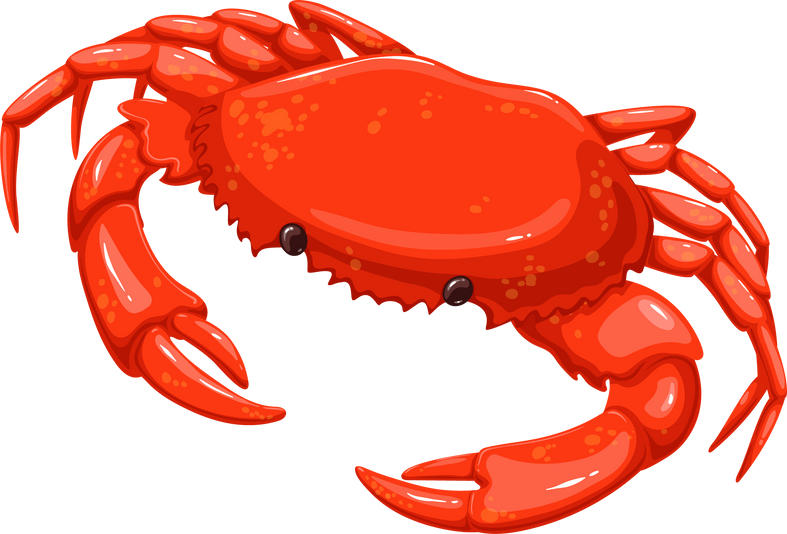 Crab